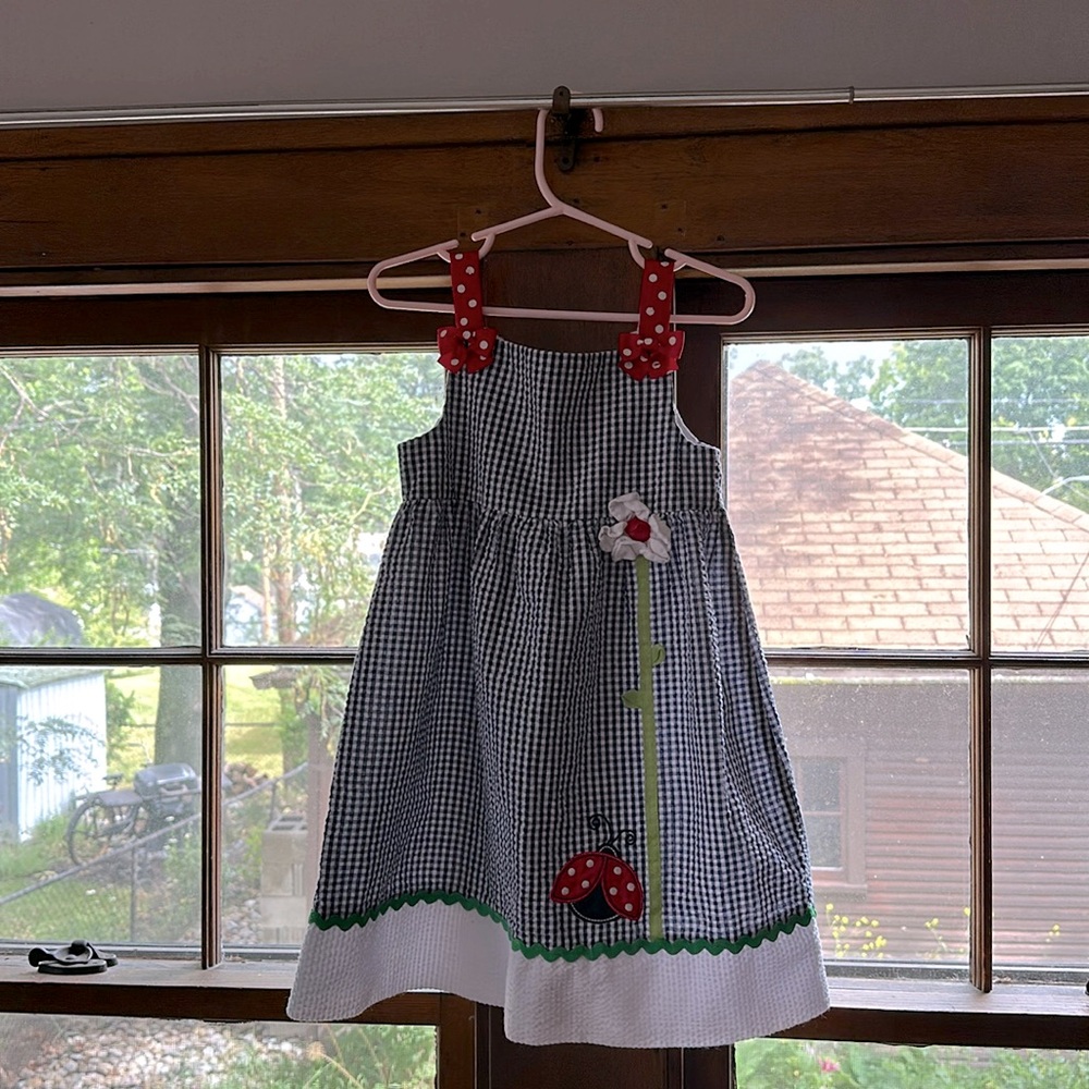 Emily Rose Gingham Dress 4T